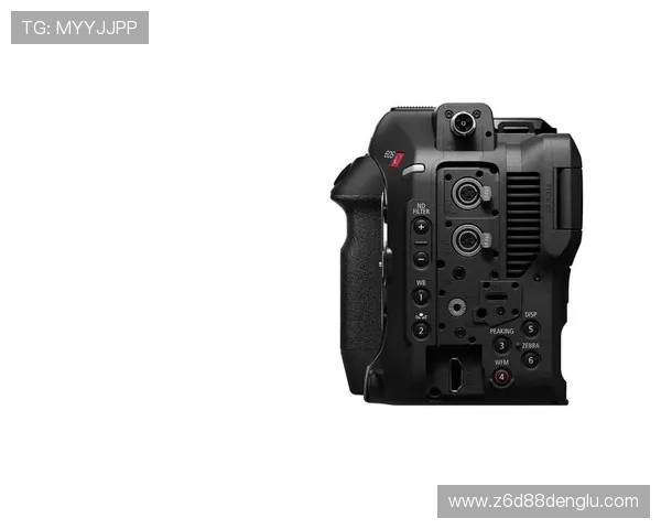 尊龙z6官方手机版功能特色及操作体验详解