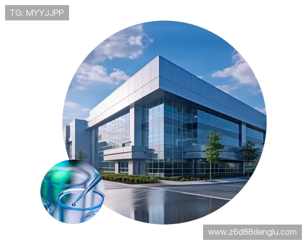 凯时尊龙人生就是博安全风险评估与应对策略全面解析确保平台安全稳定运行 凯时尊龙人生就是博安全风险评估与应对策略全面解析确保平台安全稳定运行