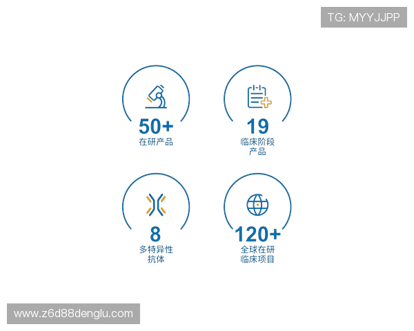 尊龙z6在线登录入口官方入口更新公告，及时掌握最新登录渠道信息
