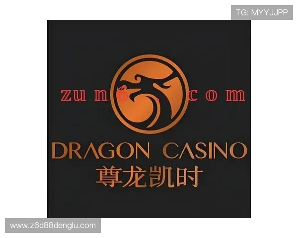 尊龙凯时国际登录支持多种支付方式，方便玩家快速存取款实现零等待