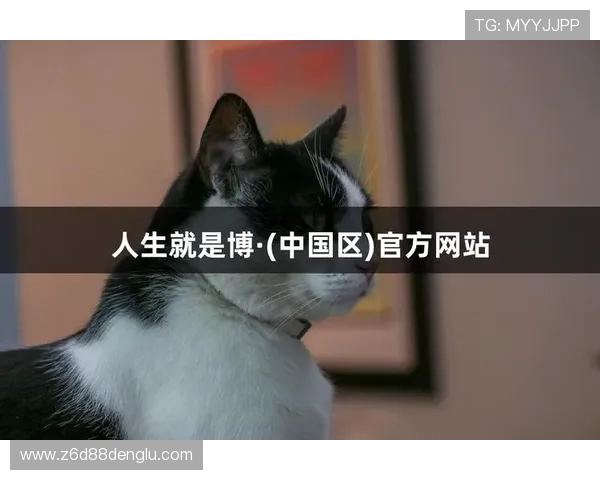 尊龙开始凯时人生就是博z6：探索游戏背后的文化内涵与人生哲理的深度解读